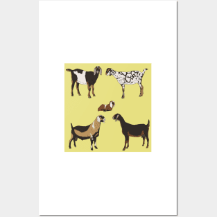 Nubian Goats Pattern Yellow Posters and Art